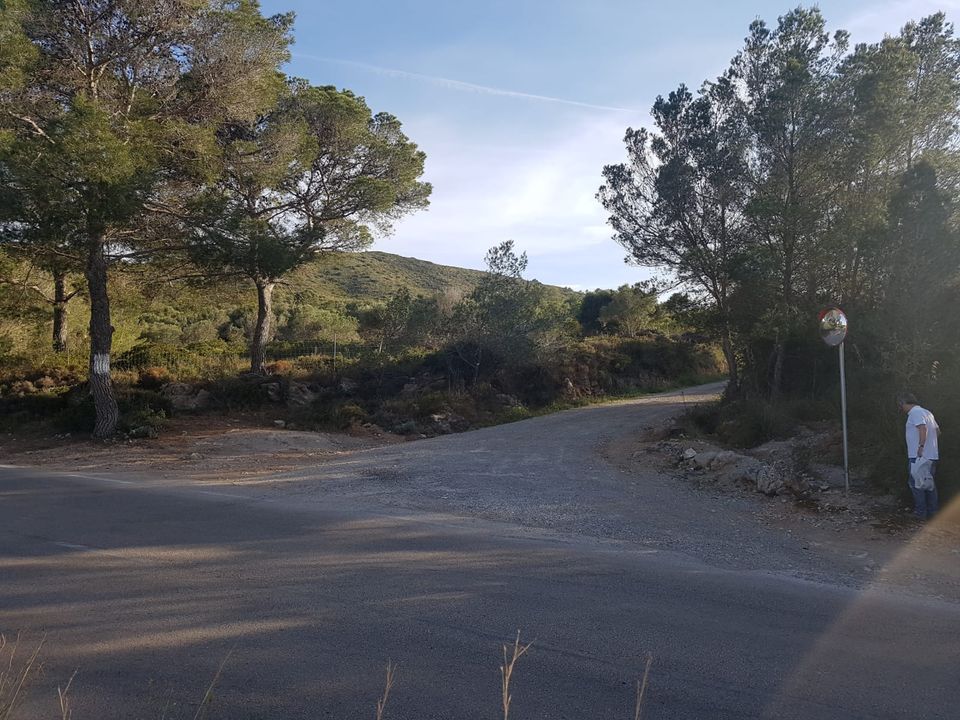 Helårsgrund i Manacor, Mallorca - foto 5
